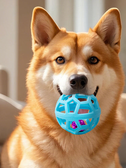 2 brinquedos para cães de estimação: bola de sino resistente à mordida e anel molar tricolor, borracha macia para moagem e mastigar dentes