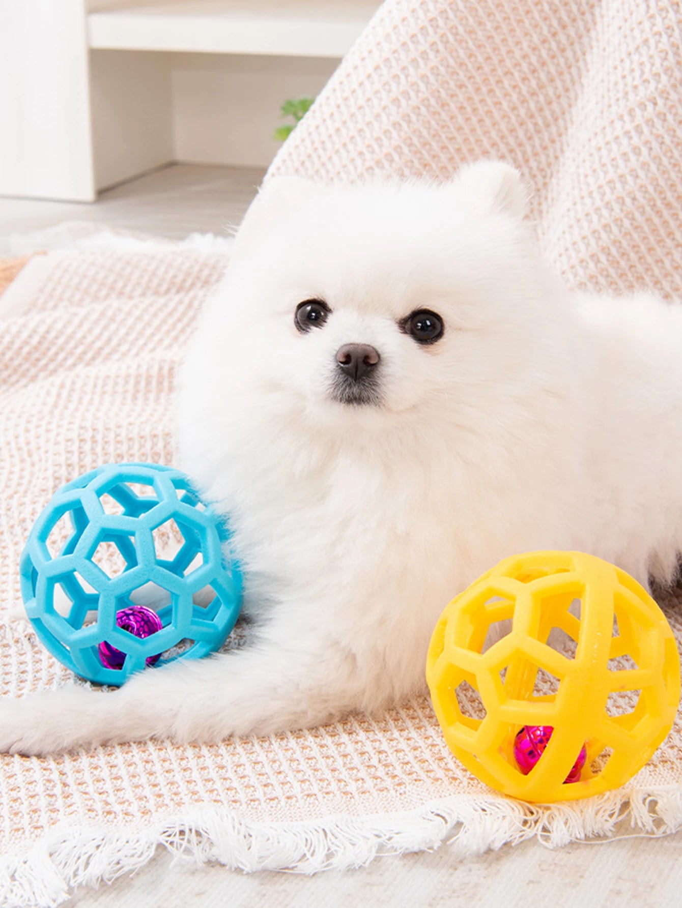 2 brinquedos para cães de estimação: bola de sino resistente à mordida e anel molar tricolor, borracha macia para moagem e mastigar dentes
